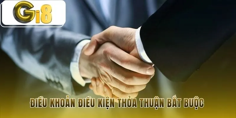 Điều khoản điều kiện là thỏa thuận pháp lý khi bạn đăng ký