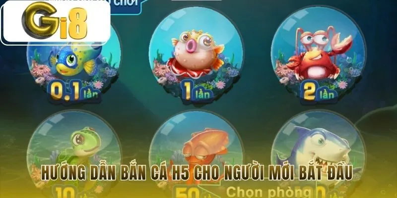 Năm bước khởi đầu game bắn cá H5 cực kỳ đơn giản
