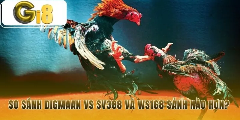 Đá gà Digmaan nổi trội với các trận cựa dao tốc độ cao